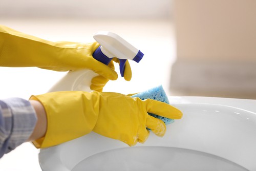2021 Cleaning Checklist For Part Time Maid 