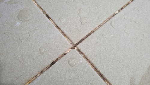 Grout The Often-Neglected Area