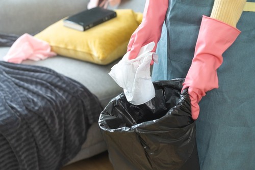  Holiday Cleaning Preparing Your Home for Special Occasions 
